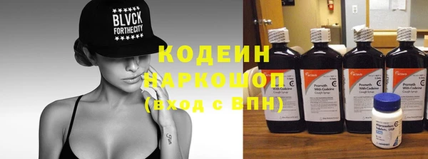 прущие грибы Инта
