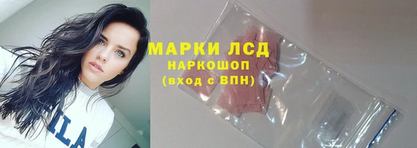гашик Нефтекумск