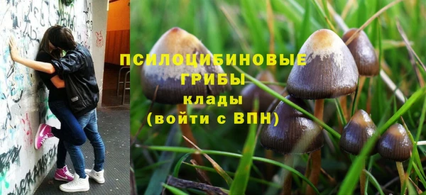 мяу мяу мука Нефтегорск