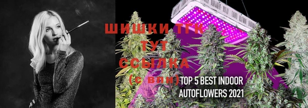 эйфоретик Абаза
