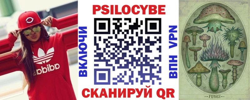 блэк спрут как войти  Приволжский  Псилоцибиновые грибы мицелий  где купить наркотик 