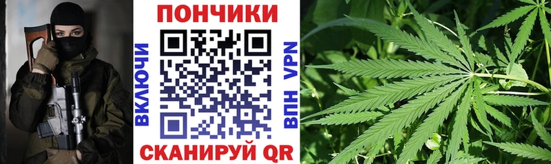 где купить наркоту  Приволжский  Бошки марихуана планчик 